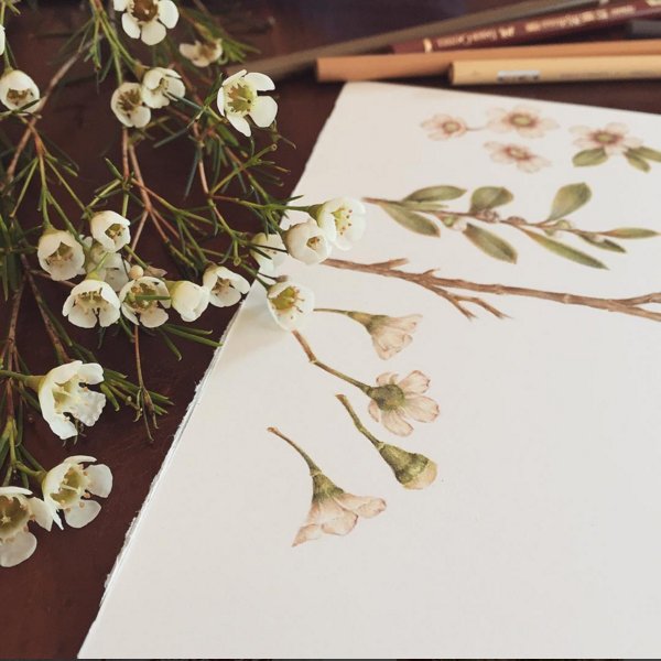 elementedeneu's tweet photo. Saturday art fever ! Like #ElementEden advocates @littlekareena or Courtney Grims, get your ideas on paper and express yourself ! https://t.co/HxWBg6894Y