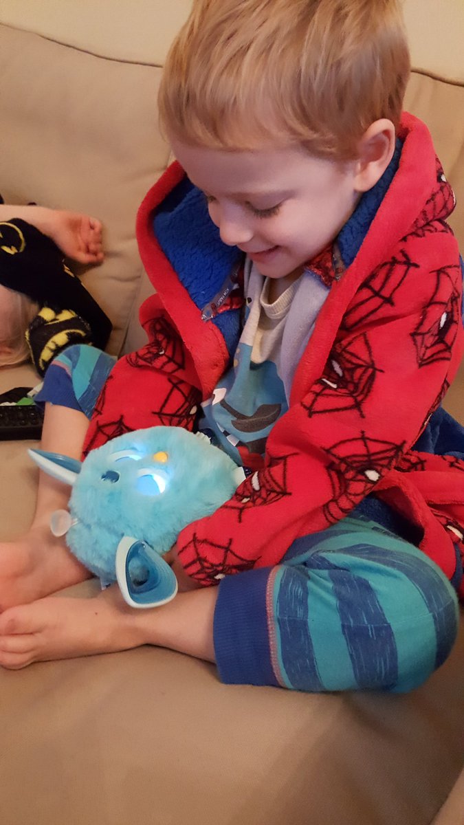 HomeWalsh's tweet photo. Kids already loving Cheeky, their new pet! #furbyconnect https://t.co/WGt40IVFCS