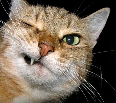 but hey what's up ;)