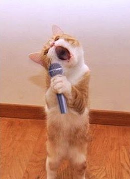 AND IIIIIIIIIIII WILL ALWAYS LOVE YOOUUUUUOOOOOOO