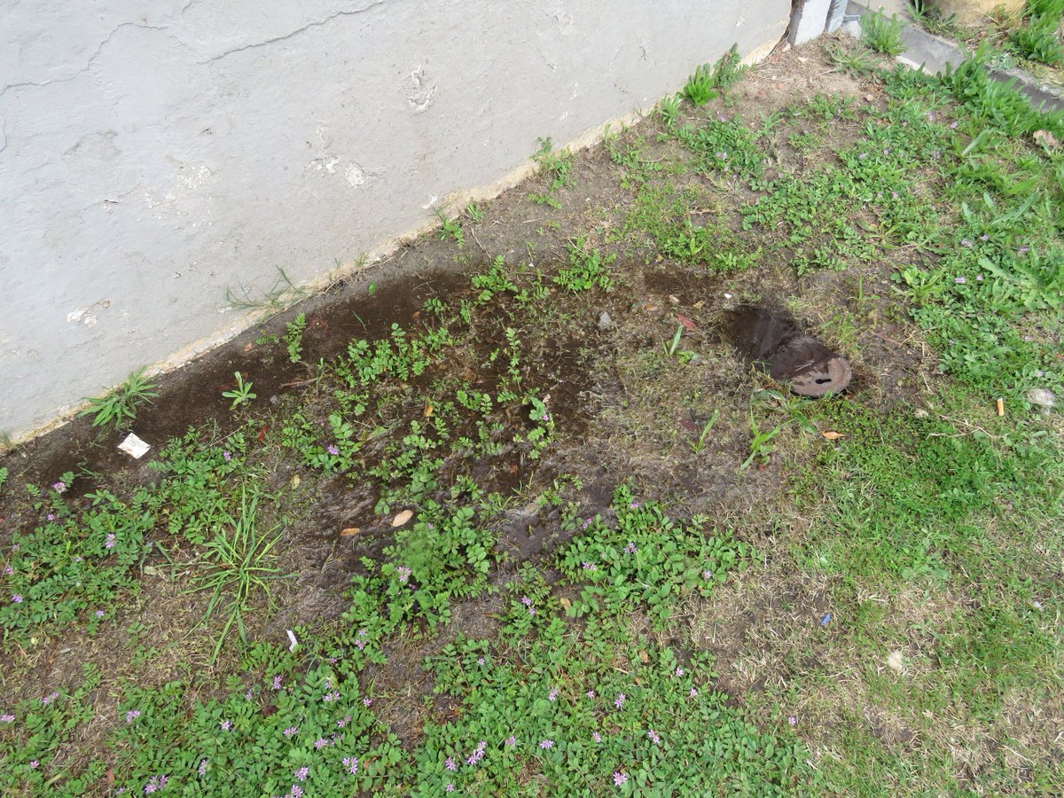 BHoffmeester's tweet photo. @CityofCT do you think that your city works for me?Surely not. After 5 days still sitting with a broken water meter. This CIty sucks! https://t.co/3vROr5drqJ