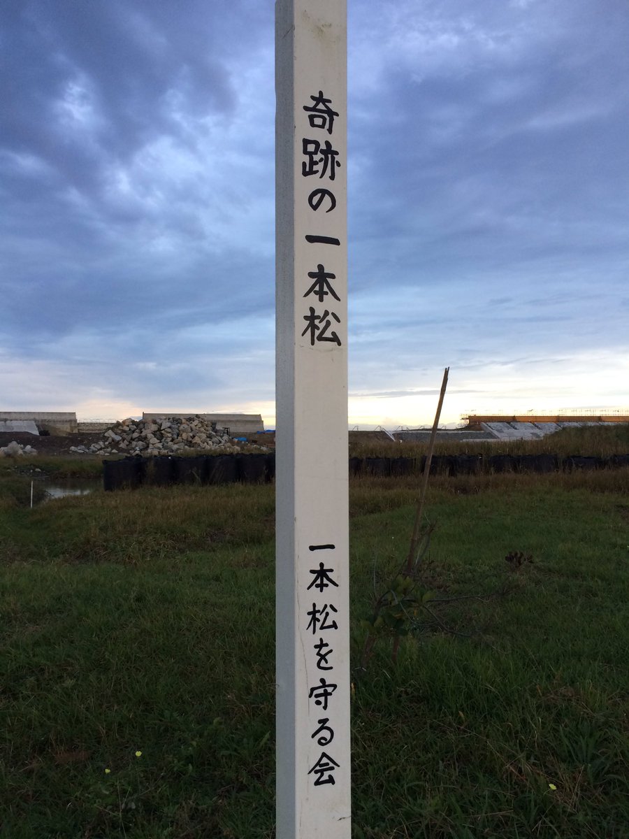 チコ 南相馬にも津波に耐えた松があります それがこのかしまの一本松 福島県南相馬市 鹿島 区南右田谷地46 です 一昨年に陸前高田の奇跡の一本松を拝してきましたが 同じような寂寥感 しかし震災に負けじと屹立する力強さも 併せて感じられました チコ 南相馬にも津波に耐えた松があります それがこのかしまの一本松 福島県南相馬市 鹿島 区南右田谷地46 です 一昨年に陸前高田の奇跡の一本松を拝してきましたが 同じような寂寥感 しかし震災に負けじと屹立する力強さも 併せて感じられました