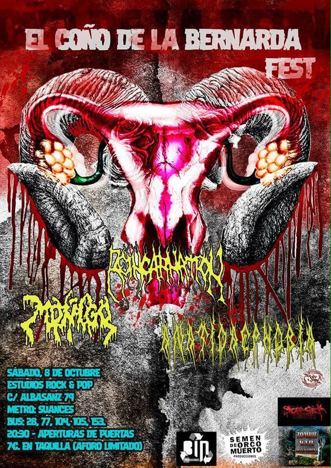 anatidaephob1a's tweet image. #BernardaOMuerte hoy en la Rock N Pop!