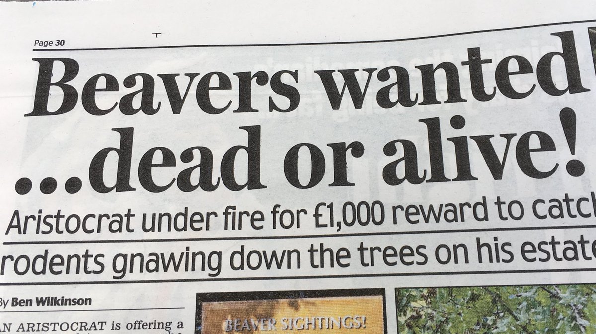 beaverwhackers's tweet photo. #extreme #beaverwhackers #beware @paulturner_84 @Tomas_Coulter @littlebill1 https://t.co/QcJdjXZHrT