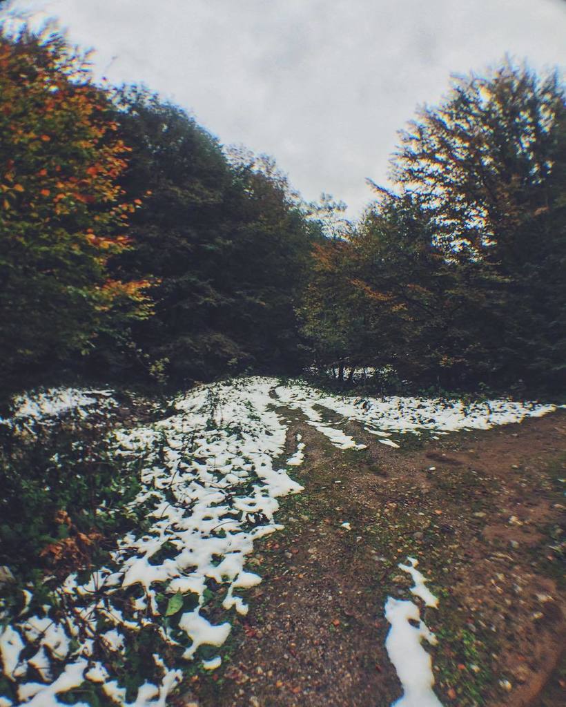 BarefootSpartan's tweet photo. I see snow, weeeeee #trailrunning #endurance #35K #vivobarefoot #nature #fuckmylegs #malaf… https://t.co/X1LWfUp0hO https://t.co/GMeoSHmTLI