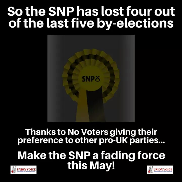 The Ginger Whinger 🇬🇧 tweet media