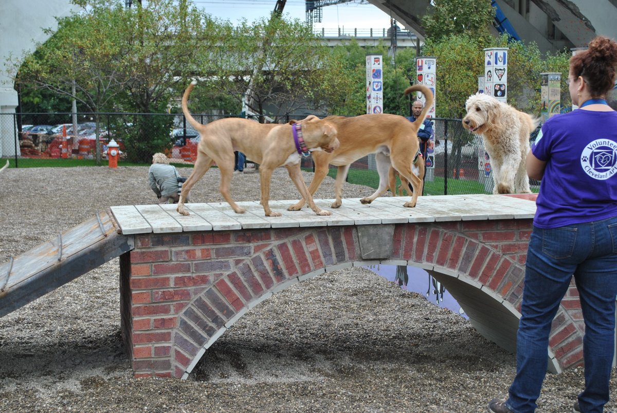 .<a href="/dtCLEdogpark/">dtCLE Dog Park</a> is turning 2! Come play with your pup at their Annual Puppy Halloween Costume Party &amp; Parade from 11-1 today!