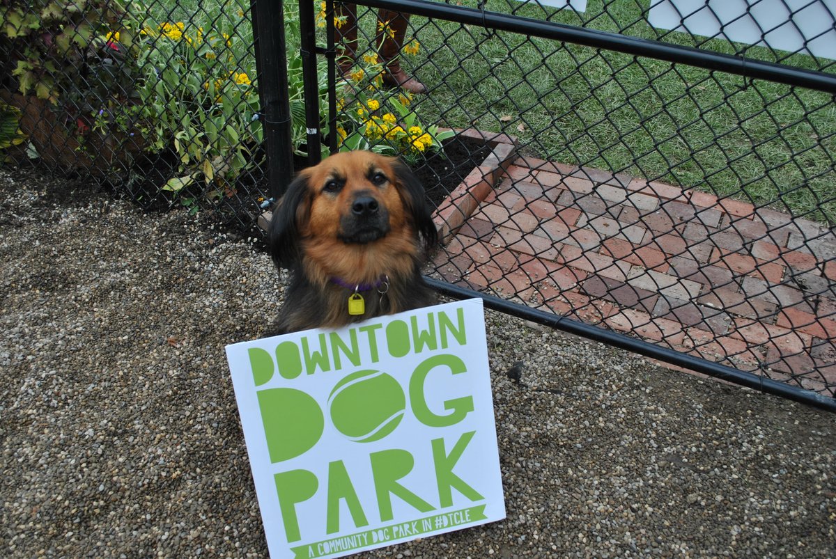 DowntownCLE's tweet photo. .@dtCLEdogpark is turning 2! Come play with your pup at their Annual Puppy Halloween Costume Party &amp; Parade from 11-1 today! https://t.co/G1ZTaylUJI