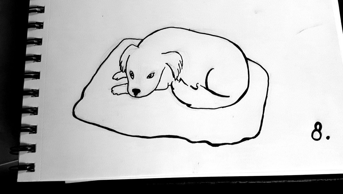 HelgaSkramstad's tweet photo. Day 8. Dogsitting for this cutie. #inktober #inktober2016 https://t.co/nE2vdhsDLl