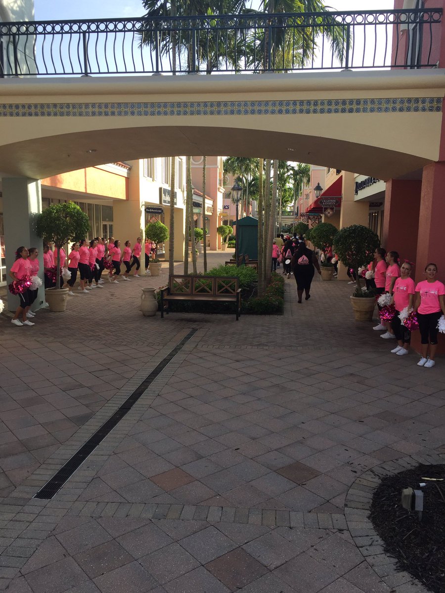 NFMHSCheer's tweet photo. Making Strides Against Breast Cancer Walk 🎀#LeeStrides https://t.co/N7PEOjCefv
