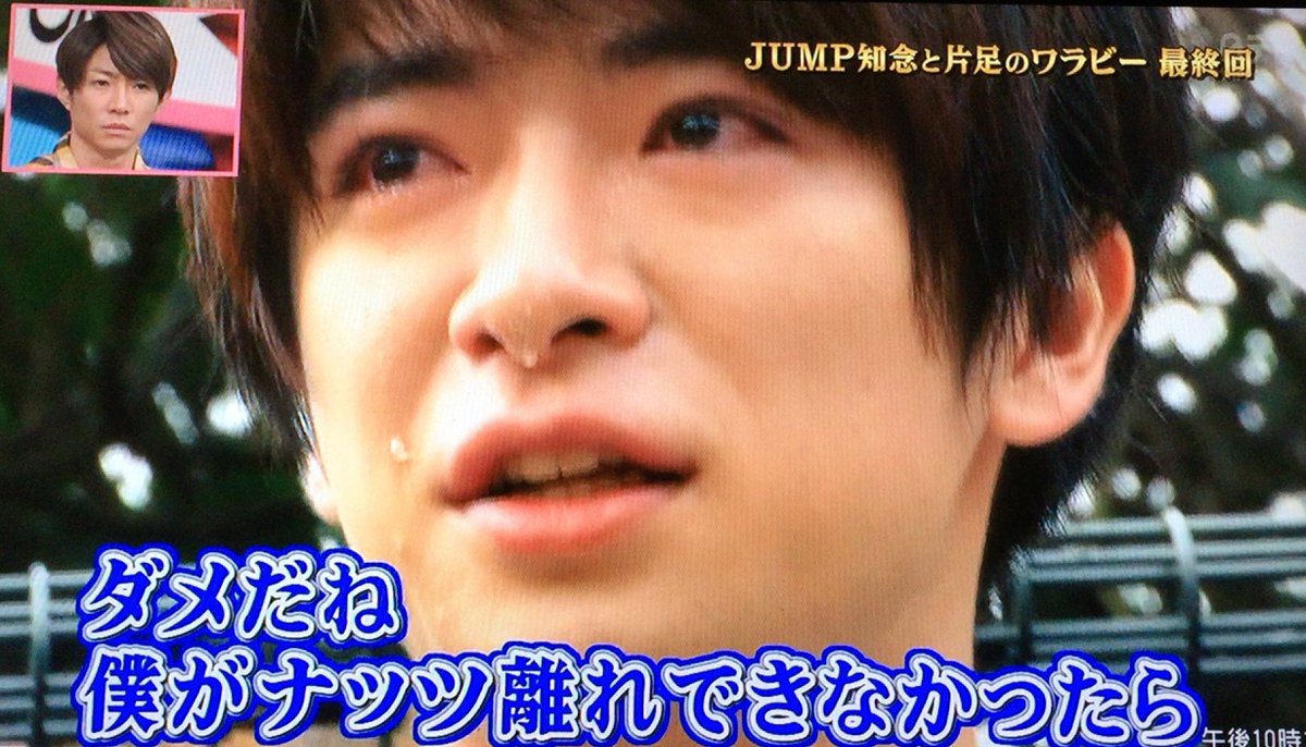 かなやん 志村どうぶつ園 ワラビー最終回 知念ちゃん泣いてる そうだよね辛いよね ずっと一緒だったんだもんね 志村どうぶつ園 知念侑李 かなやん 志村どうぶつ園 ワラビー最終回 知念ちゃん泣いてる そうだよね辛いよね ずっと一緒だったんだもんね 志村どうぶつ園 知念侑李
