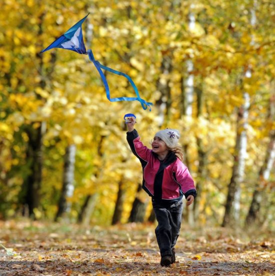 wzkrefeld's tweet image. So wird’s in den Ferien nicht öde #Herbstferienprogramm #Krefeld #WZ  wz.de/1.2290088