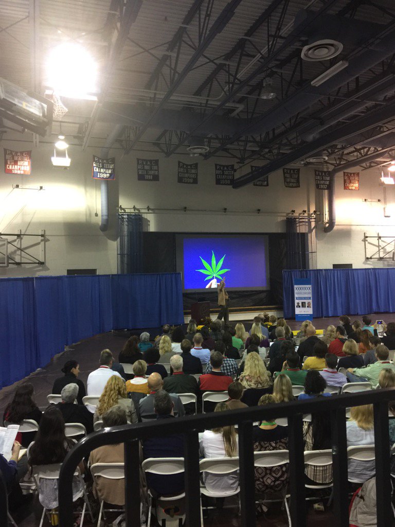 HolgateDrew's tweet photo. Doing some slow looking #PZDC https://t.co/M0vxn19Zi2