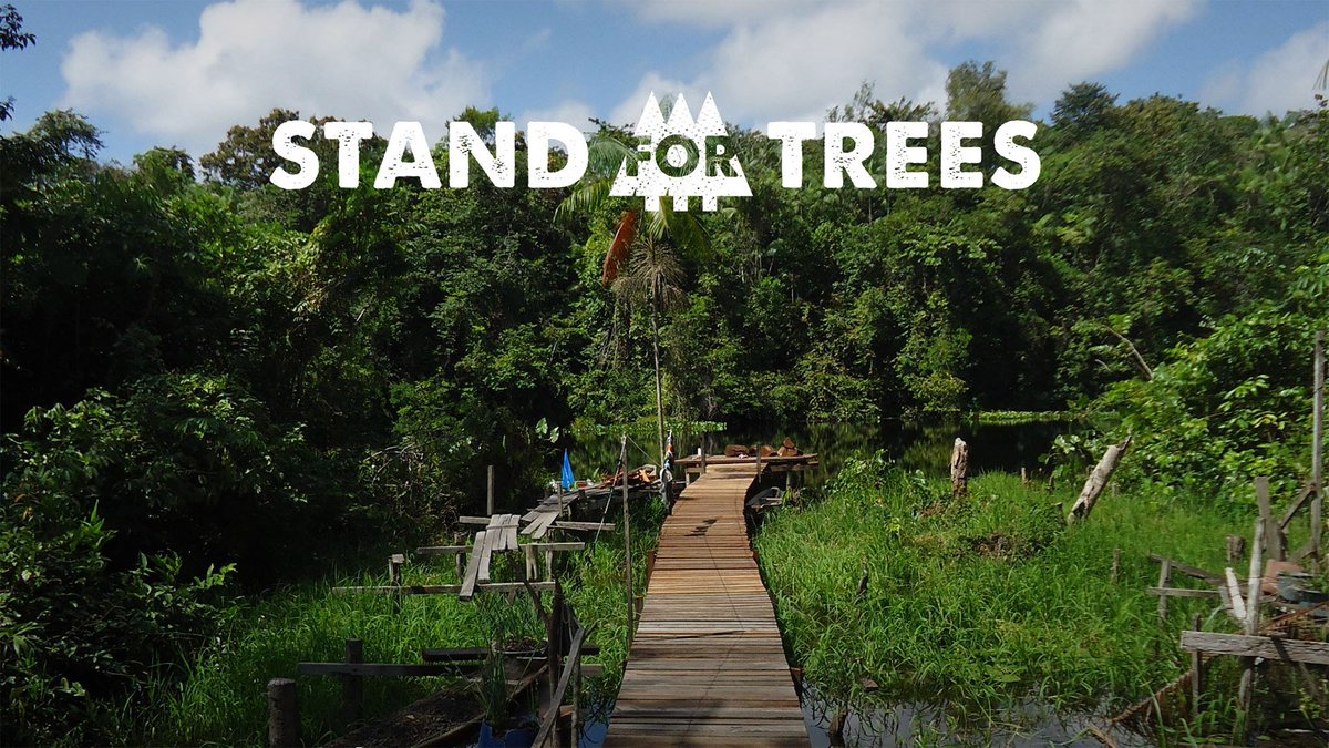 silent_drop's tweet photo. En la lucha contra el #CambioClimatico  nos encantó #DearFutureGenerations de @StandForTrees y @PrinceEa  https://t.co/2uxrxDN7E4 https://t.co/Oq3E4jzThq