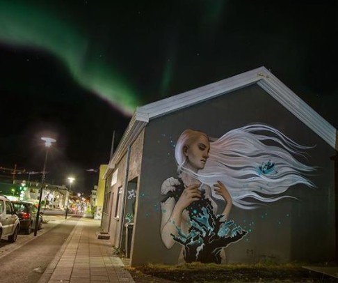 DavidBonnand's tweet photo. ... ๐#Rekjavik #Island
by #HeatherMacLean ()
#streetart #graffiti #art https://t.co/WDcwifac4o