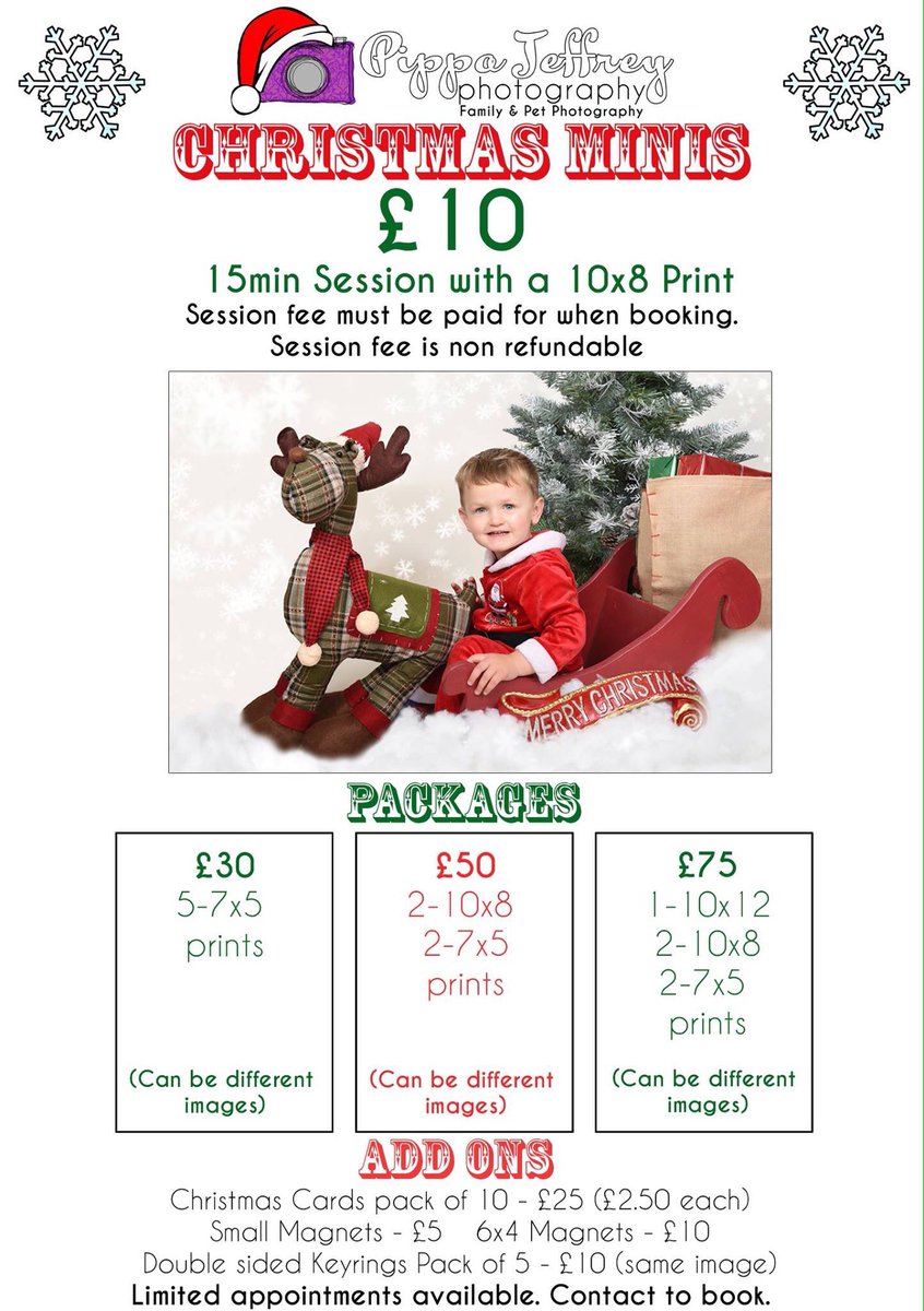PippaPhoto's tweet image. Christmas minis! Message to book 🎄🎁