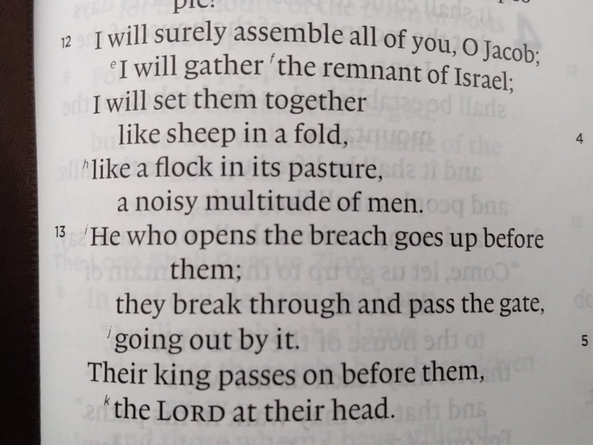 TimSheps's tweet image. Precious hope #micah2v13