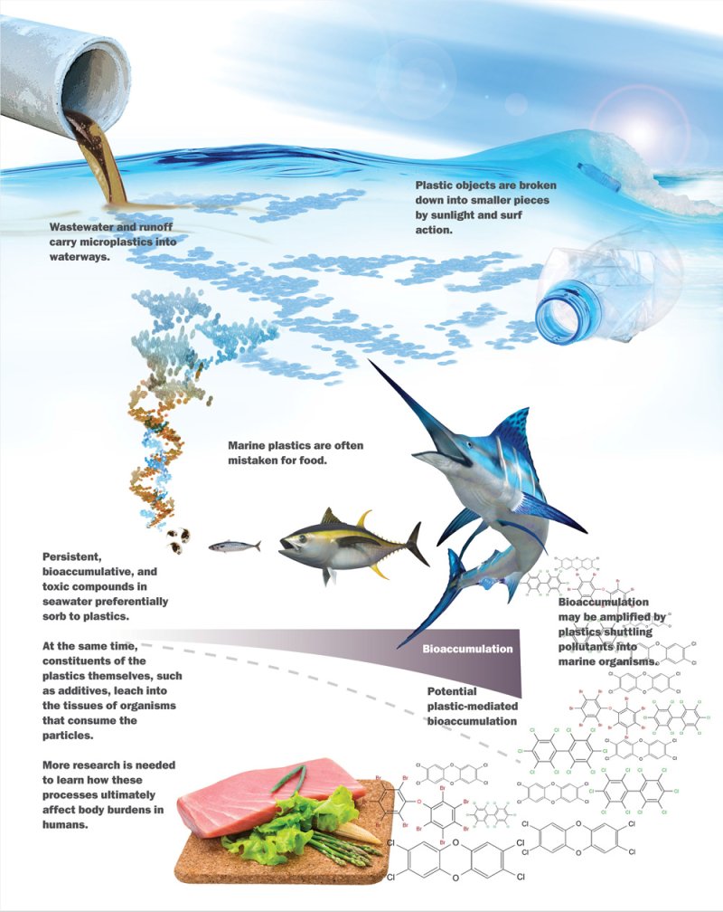 Microplastics cause greater harm to the ocean than previously thought <a href="/UniofExeter/">University of Exeter</a> 
 <a href="/MichaelNorthrop/">Michael Northrop</a>, @JosephCaspermeyer &amp; @RalfHayden