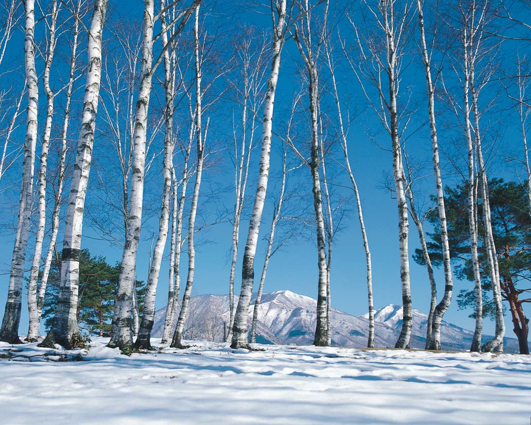 蒜山高原【岡山県】

夏も冬も1年中楽しめるアクティビティが充実していて、
「西日本の軽井沢」とも謳われています。

博物館や絶景スポット、神社などが数多く点在しており、観光散策にはうってつけ♪