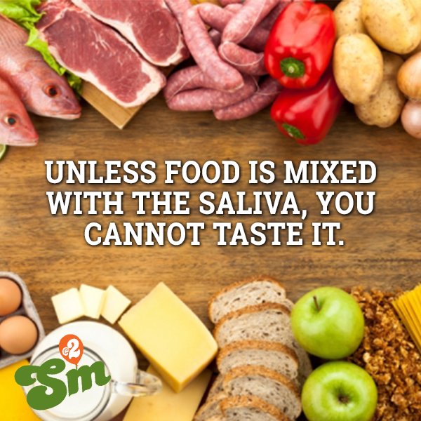 SupermartNG's tweet photo. Now we know how important the saliva is. #Didyouknow #Saliva #Food #SupermartAt2 #Anniversary https://t.co/7C27EMWtAR