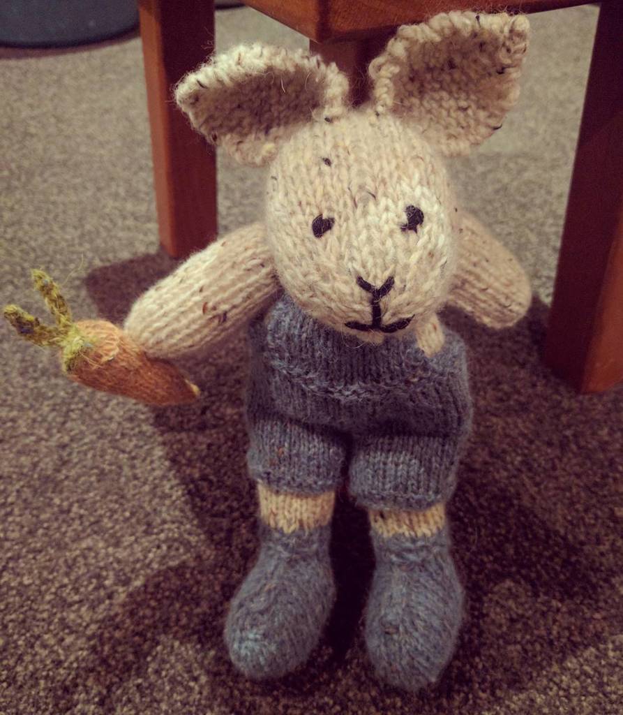 CourtneySit's tweet photo. One week later. I have a knitted Mr. Peter Rabbit. #knitting #cameronjamesdesign #peterrab… https://t.co/Np6aoRUtO2 https://t.co/zXx1pBh1oa