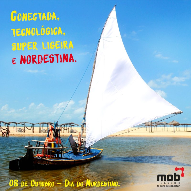 MobTelecom's tweet photo. Há 20 anos conectando o Nordeste ao mundo. <3 #MobTelecom #OrgulhoDeSerNordestino https://t.co/IeMkhNDbMg