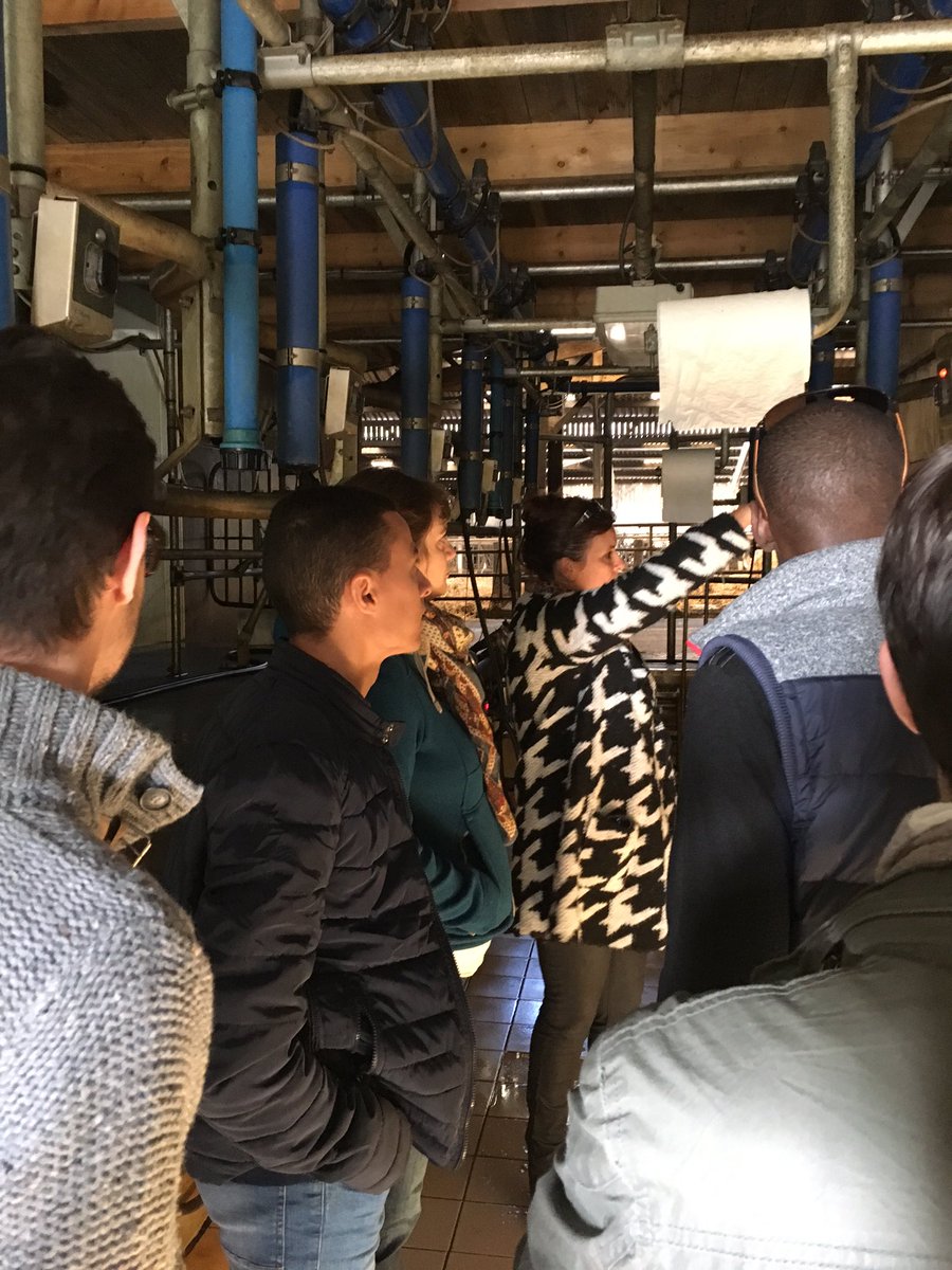 BenjamKirschner's tweet photo. Visite d'une exploitation laitière à #Orvault: De bons échanges permettant de mieux comprendre les problématiques de la filière ! 🐮 https://t.co/H790p22zpY