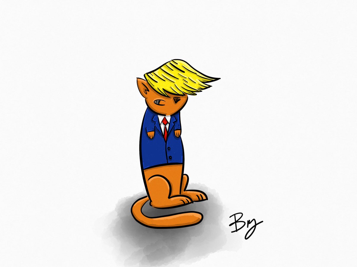 realthingcat's tweet photo. #thingcat #trumpcat #tinypaws #makeamericacatagain https://t.co/gR35YU2y3H