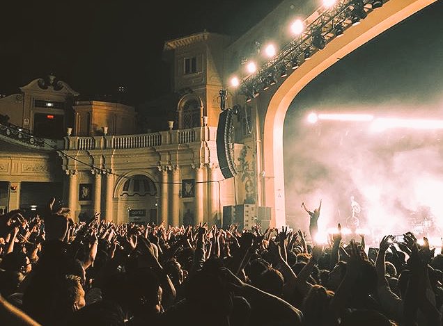 TLO 🌊 tweet media