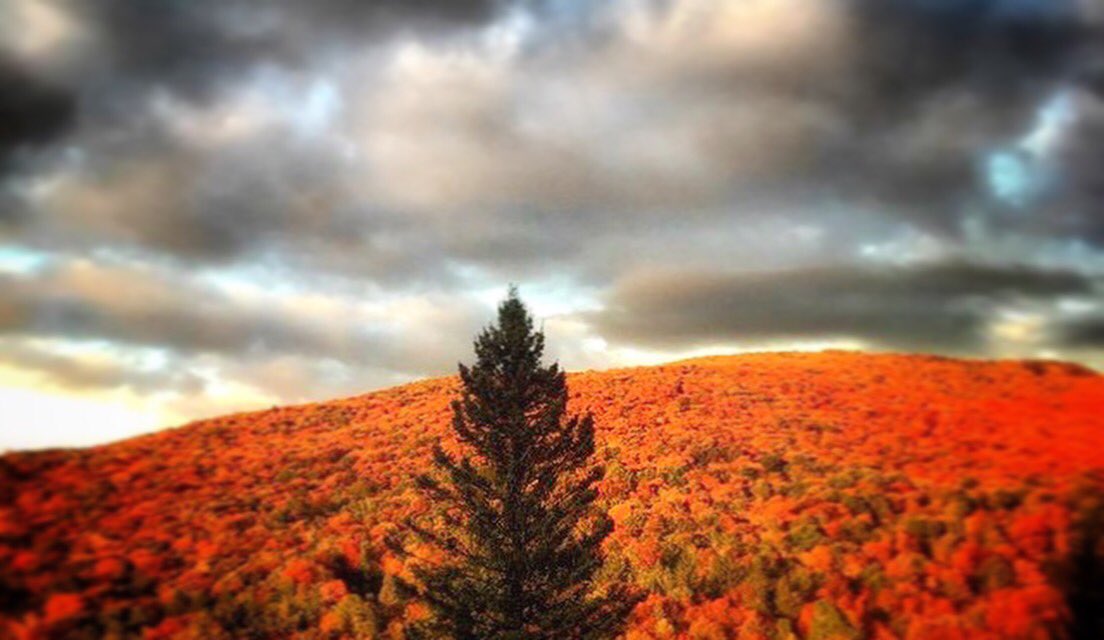 KABIN Sutton tweet media