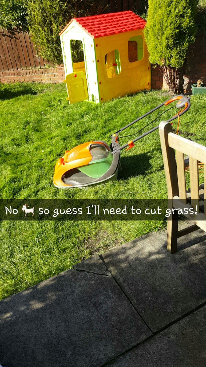 SarahJaffray1's tweet photo. Joys of having back &amp; front gardens! #GrassCutting #WeekendChore #NeedAGoat https://t.co/KLqflWS4Mp
