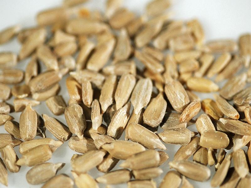 семечки голосемянной тыквы. семечки без кожуры. семена подсолнечника без кожуры. семечки без кожуры. шелуха от тыквенных семечек.