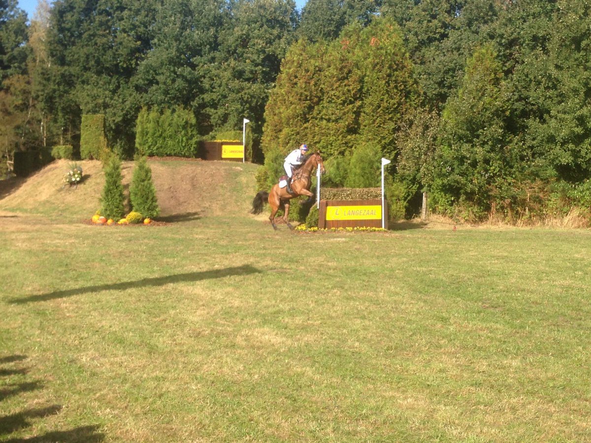 PetervPinxteren's tweet photo. @Theovendel en Zindane bezorgen TeamNL @militaryboekelo 3e crossresultaat op rij zonder hindernisfouten. https://t.co/7pvwqxxXF8