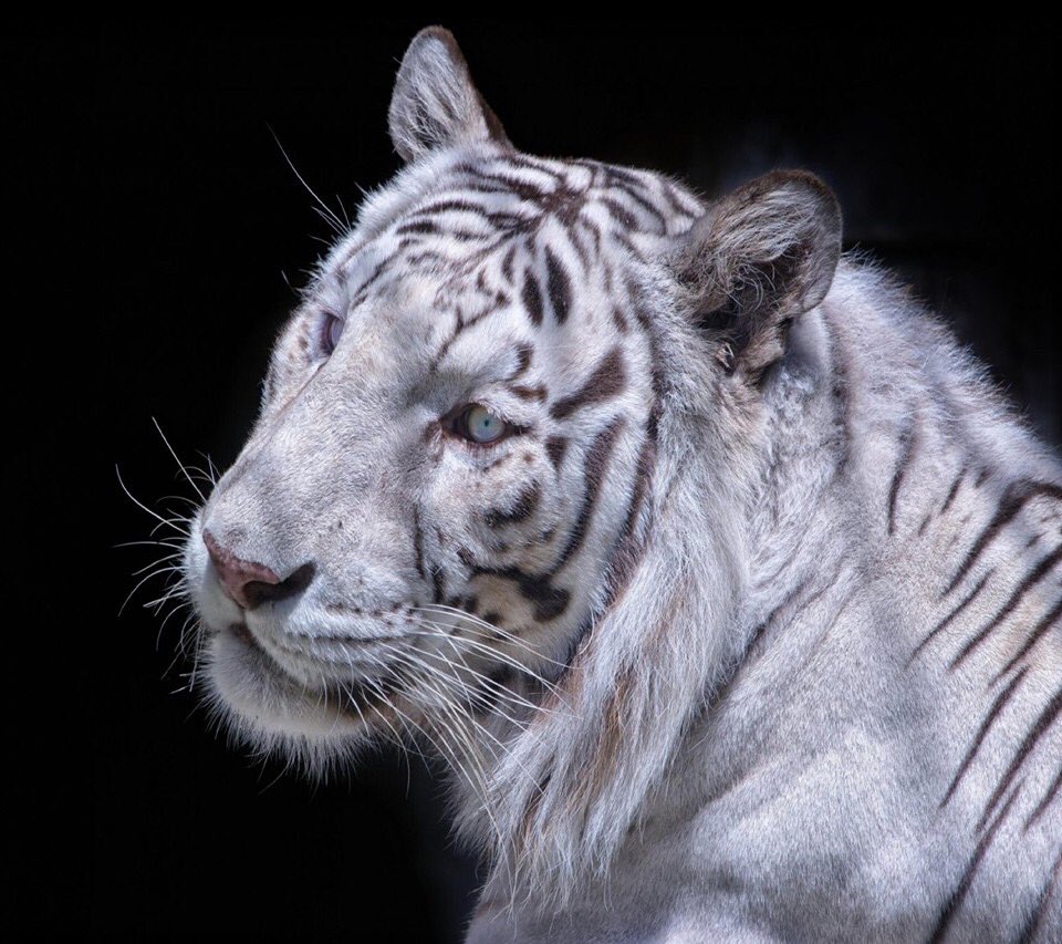 Hiya everyone.....have a wonderful weekend 😍😘