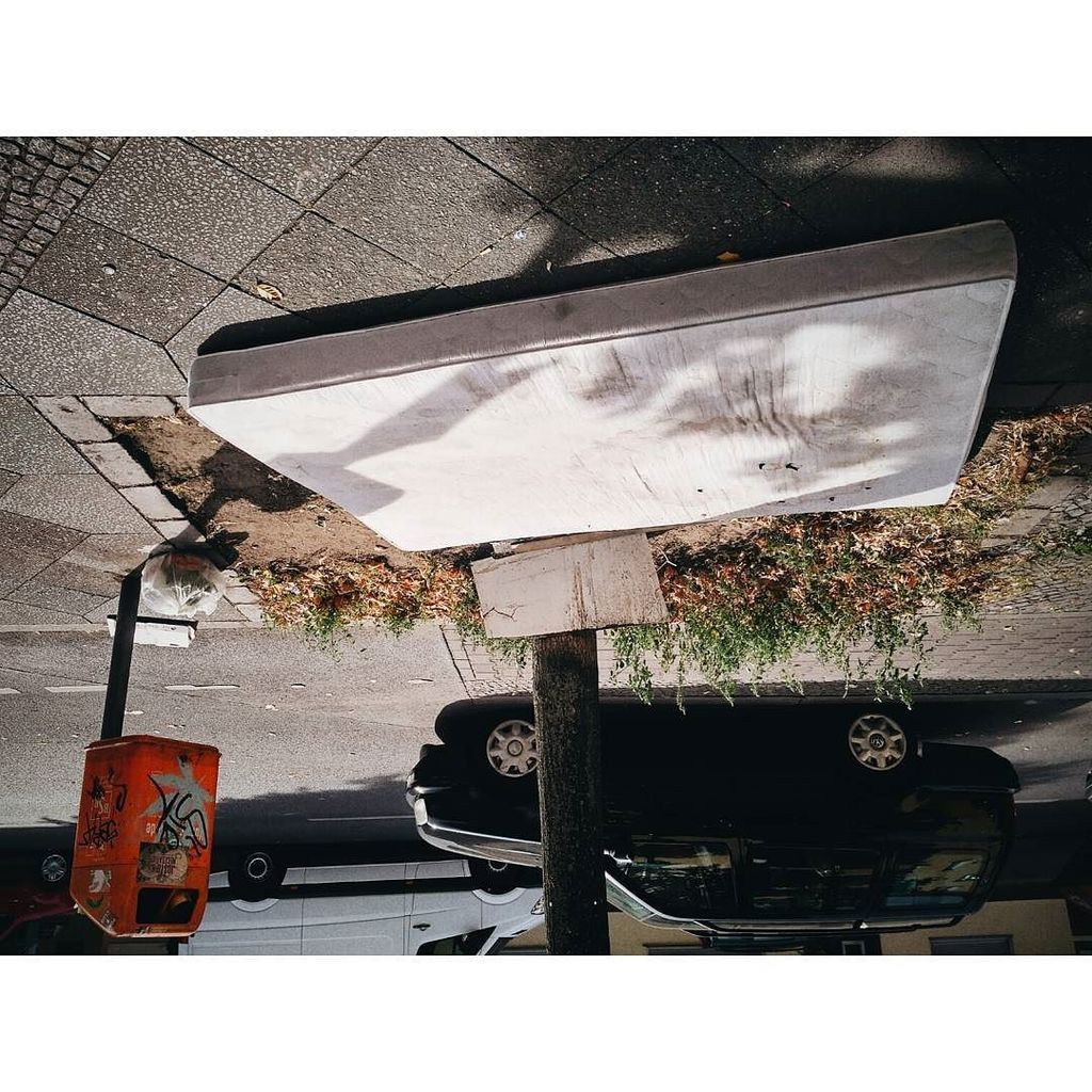 undisposable's tweet photo. .
.
.
.
.
.
.
 #filmcommunity #filmisnotdead #filmphotography #staybrokeshootfilm #keepfil… https://t.co/zT2rDHQUfe https://t.co/5FbvUxrkgn