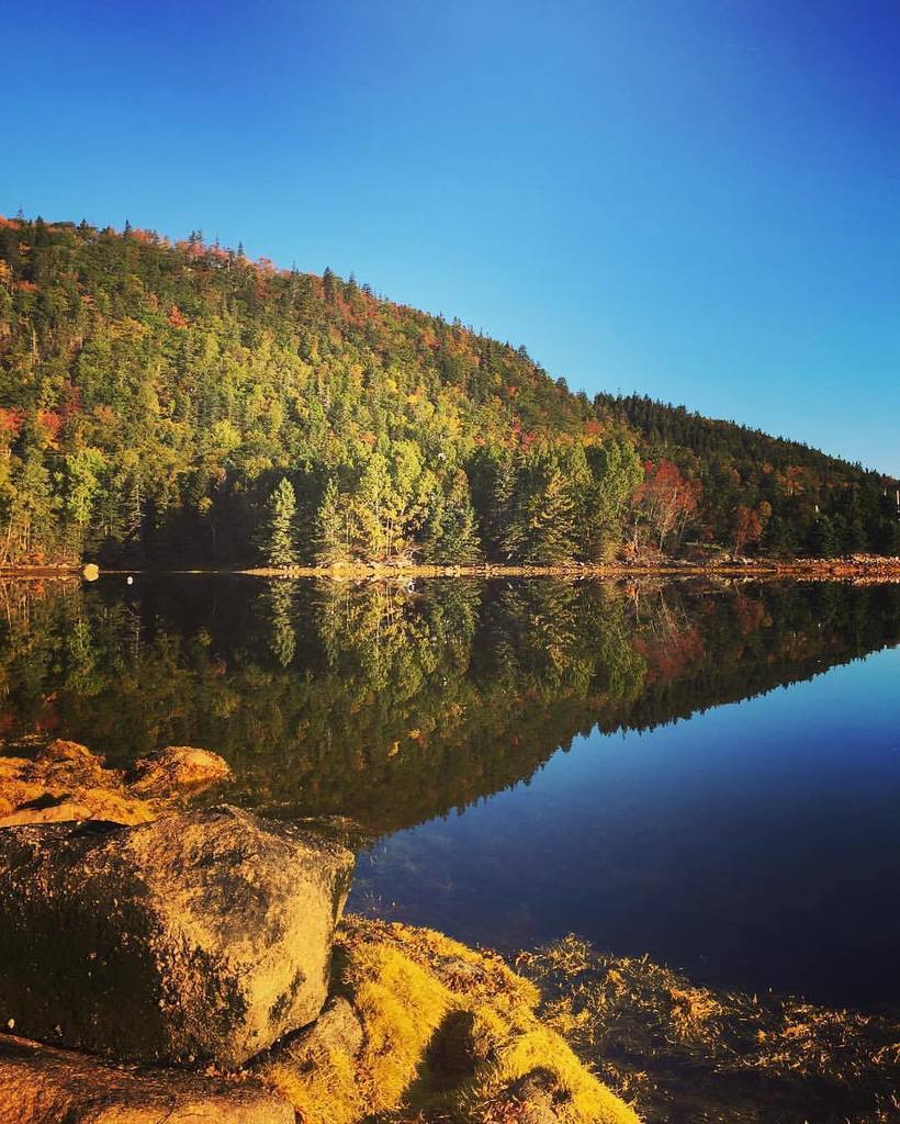 halifaxnoise's tweet photo. From @kathleenhanlon — What an absolutely perfect fall morning in #NovaScotia !! Beyond th… https://t.co/PyZSsQOUR0 https://t.co/0AOryT3yRY