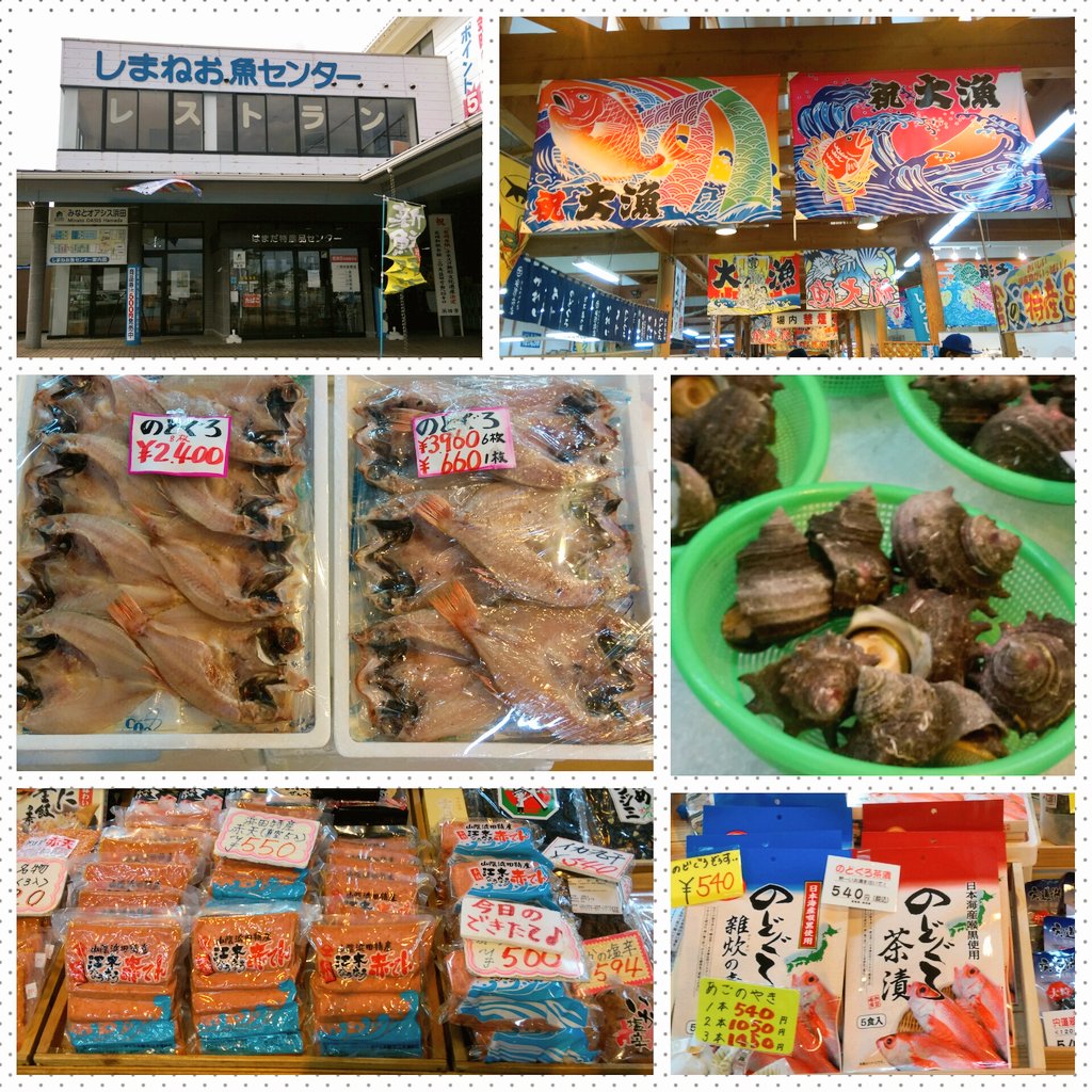 תג しまねお魚センター בטוויטר