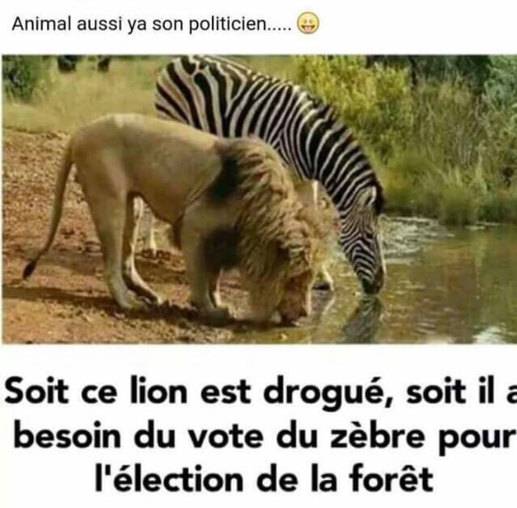 parlementhaiti's tweet photo. Politik kap fèt https://t.co/0JDF7EC5LH