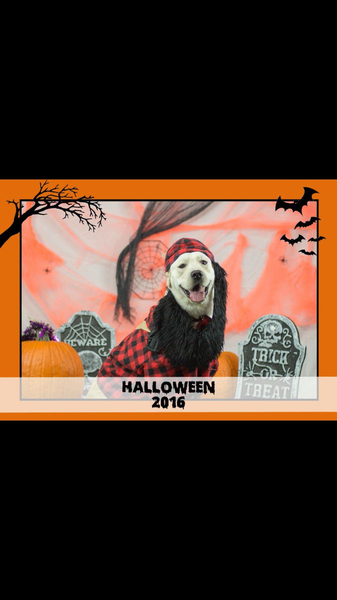 hermoves (@hermoves) on Twitter photo 🎃Halloween pics for the animal rescue league🎃 (@ Benny and Jack - <a href="/thebennyandjack/">Benny and Jack</a>) swarmapp.com/c/bShqBdbbiWV 🎃Halloween pics for the animal rescue league🎃 (@ Benny and Jack - <a href="/thebennyandjack/">Benny and Jack</a>) swarmapp.com/c/bShqBdbbiWV