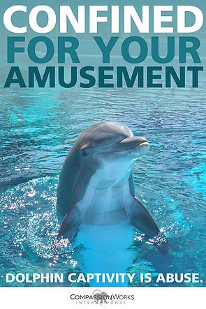 JazzyDolphin's tweet photo. .@Anon4dolphin They've all got the SELFISH GENE
https://t.co/9P4YpBzEcU
I had it, till I saw #Balckfish & #TheCove
#OpSeaWorld #OpKillingBay https://t.co/MMrqUvgAhi