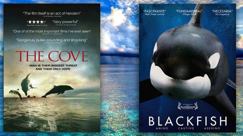 JazzyDolphin's tweet photo. .@Anon4dolphin They've all got the SELFISH GENE
https://t.co/9P4YpBzEcU
I had it, till I saw #Balckfish & #TheCove
#OpSeaWorld #OpKillingBay https://t.co/MMrqUvgAhi