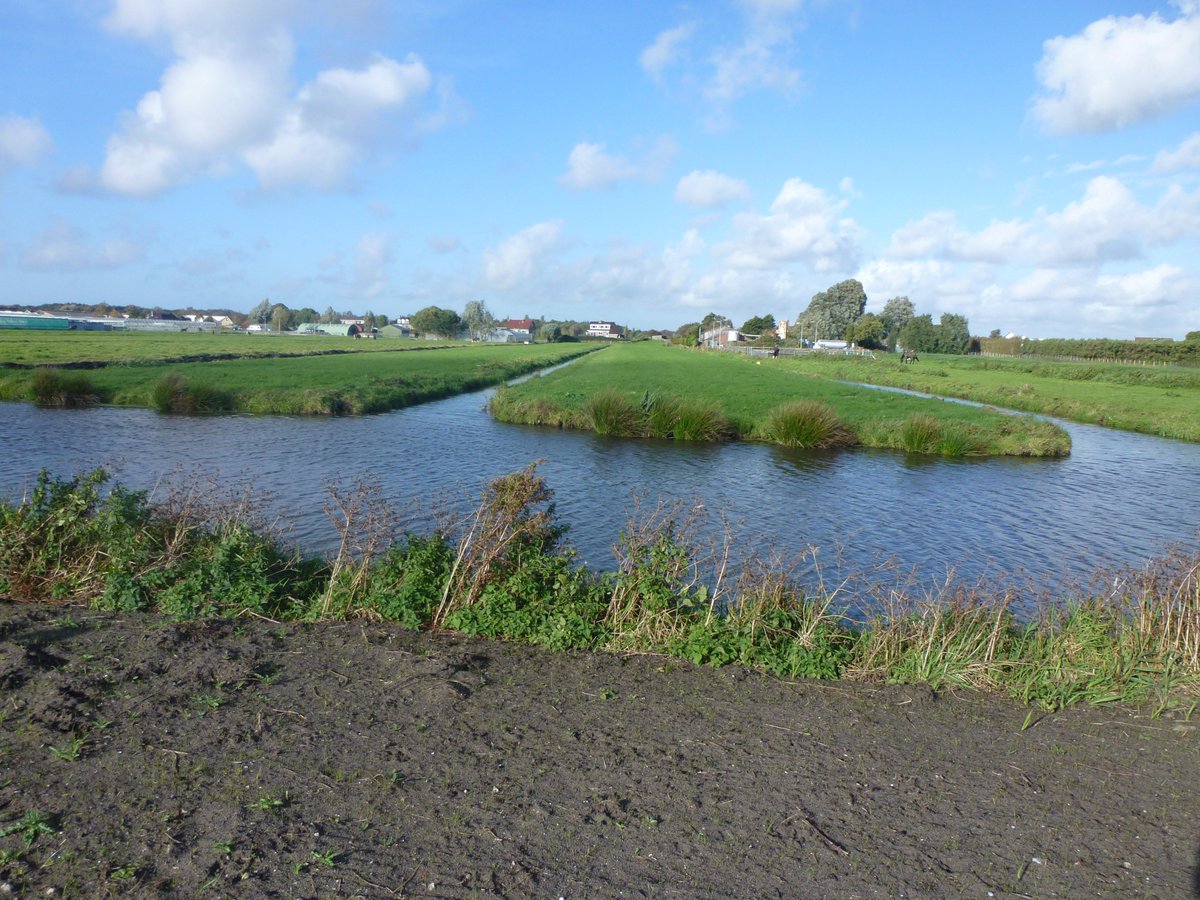 Het is toch te gek dat 1 dame de dienst uitmaakt in Noord-Holland? Mevrouw Post, kunt u niet een keer luisteren? Geen #Duinpolderweg