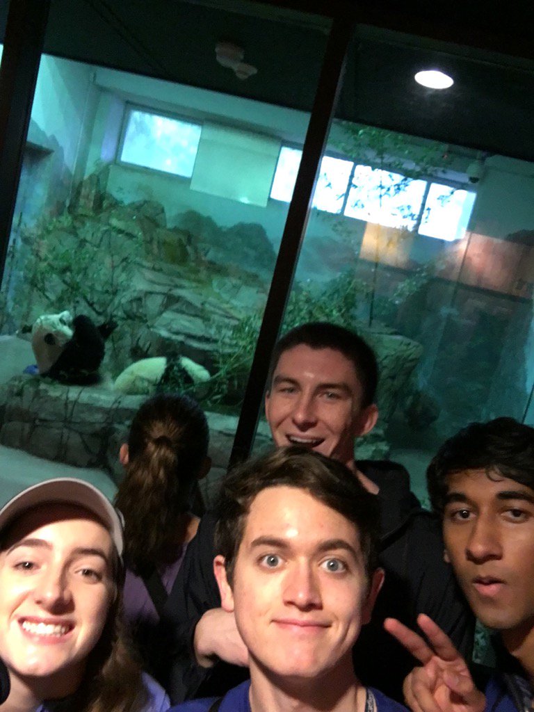 timemachinemaf's tweet photo. #babypanda @bighuntGU #timemachinemafia https://t.co/IpUmonMvgz