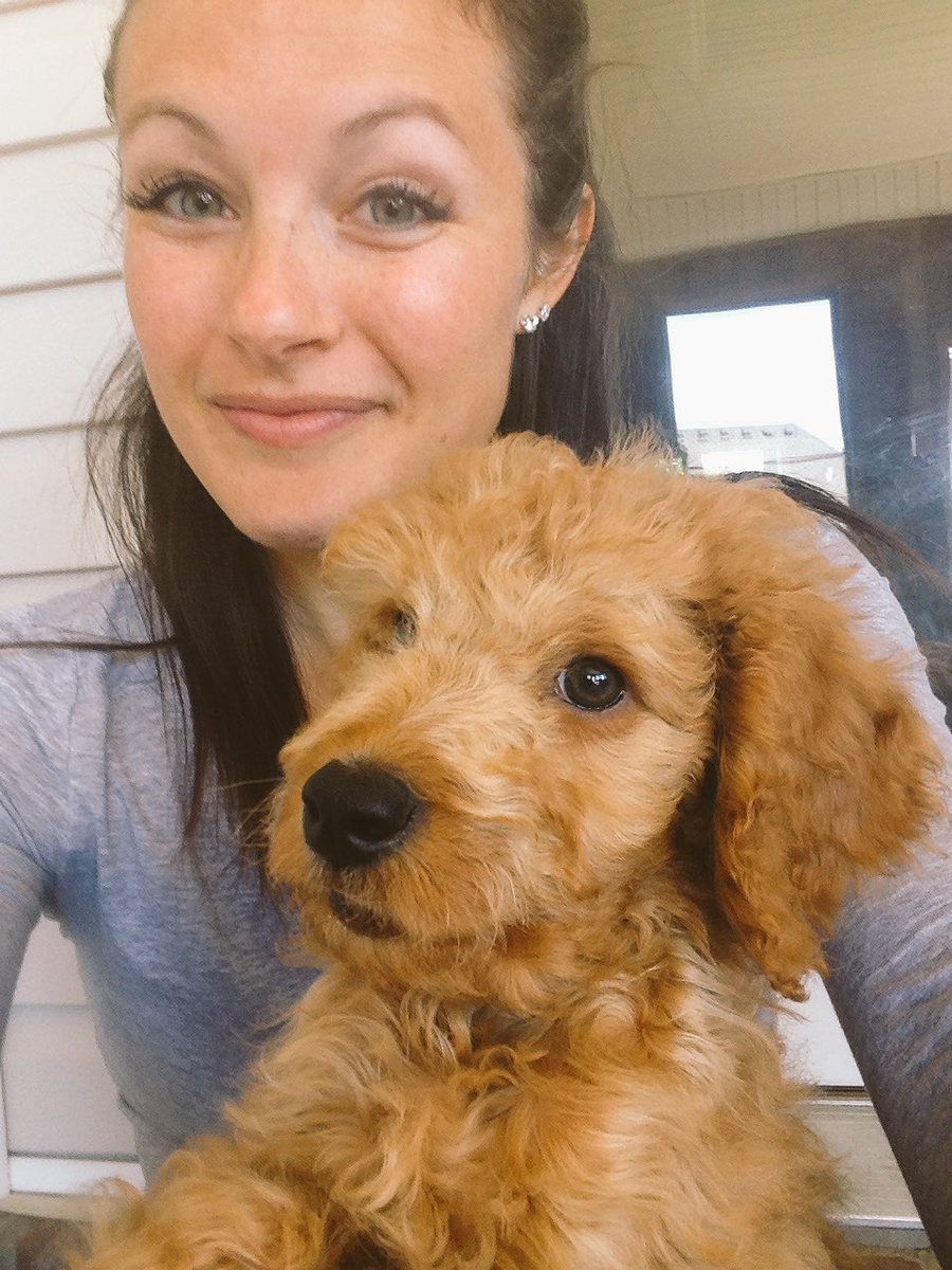 trailside_acres's tweet photo. This little guy is so cute 🐶 #dex #goldendoodle https://t.co/lHLfWr2wKZ