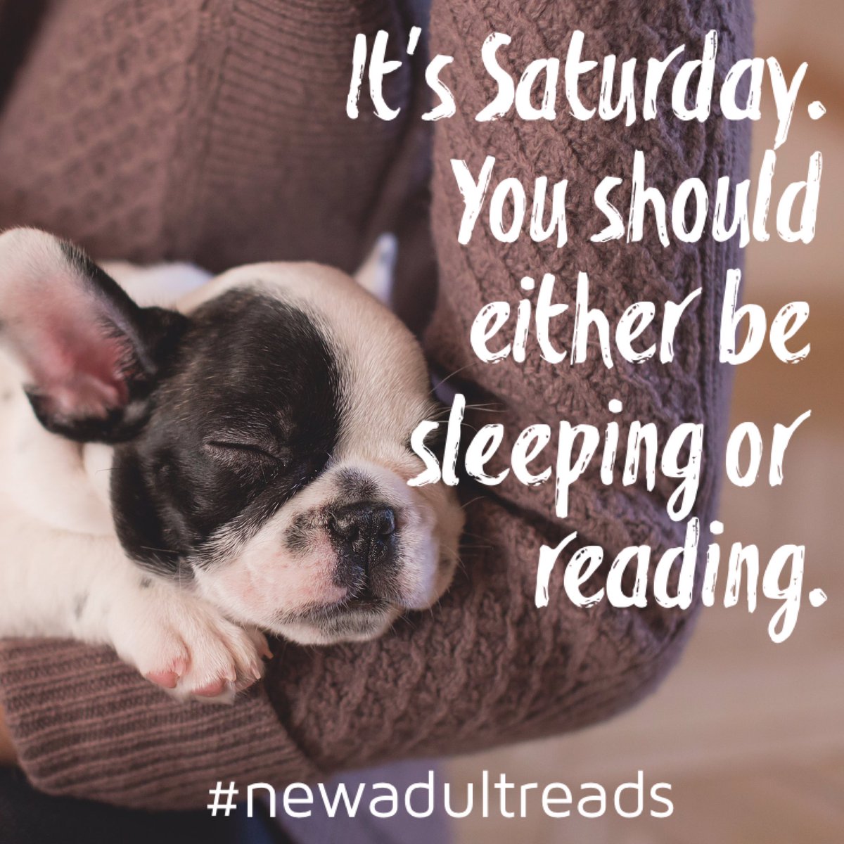 NewAdultReads's tweet photo. What are you reading for the #weekend? Check out ou recommendations on the #NewAdultReads official #Wattpad page. 😉 #wattpadreads #saturday https://t.co/2GrfqRzeBO