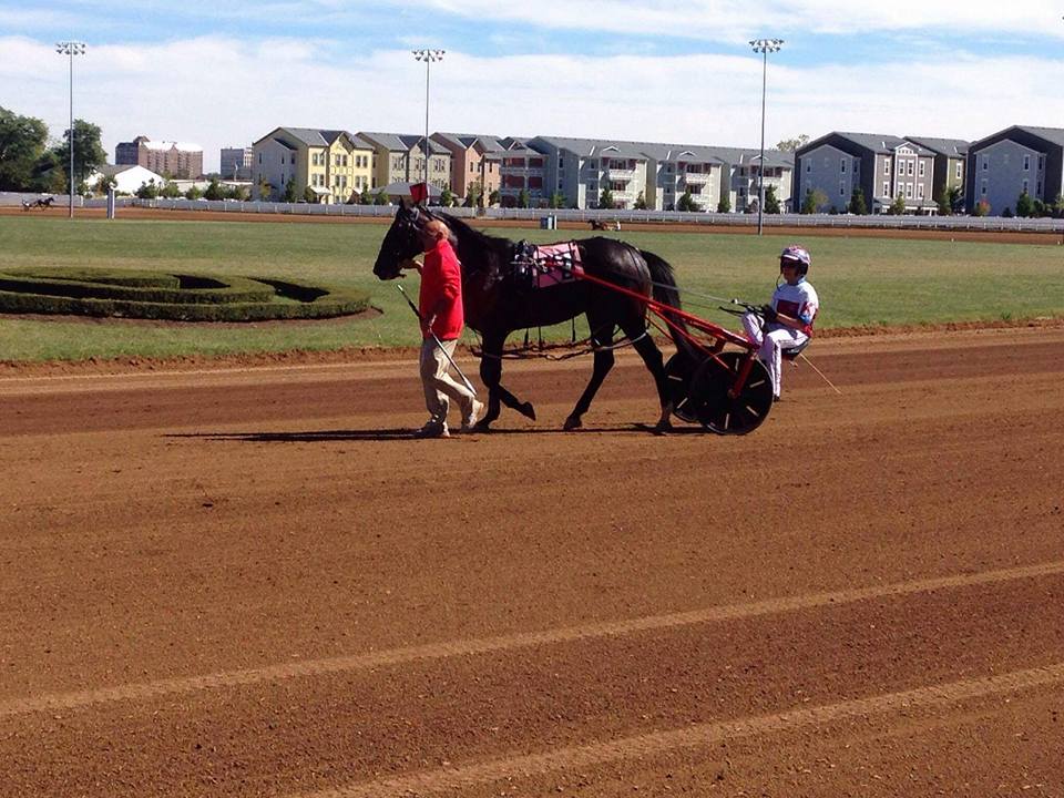 alagnaracing's tweet photo. Congrats to HYPOTHETICAL Late Closer @MKakaley @RedMileHarness - @racing_fillies Photo #TeamAlagna https://t.co/fusGuUTUC8