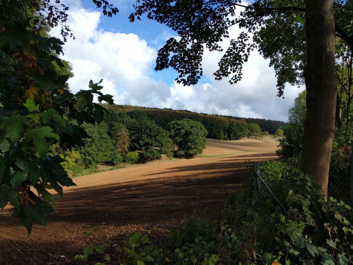 One of the many pretty pictures from my walks this month, but this one is significant as it was the first 'for pleasure' walk