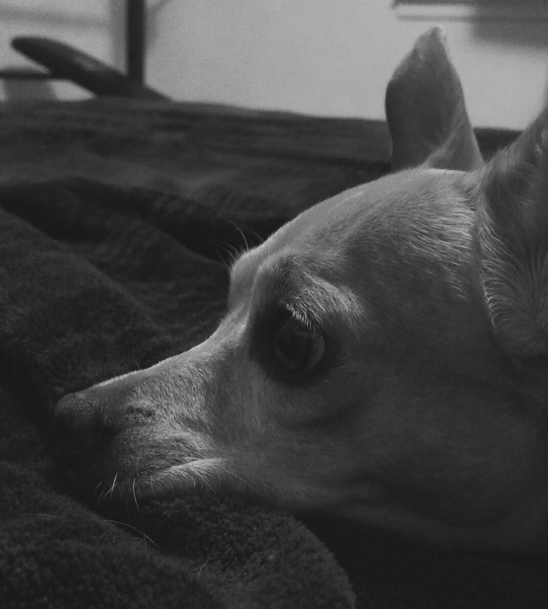 BLUEGIRL42 tweet picture