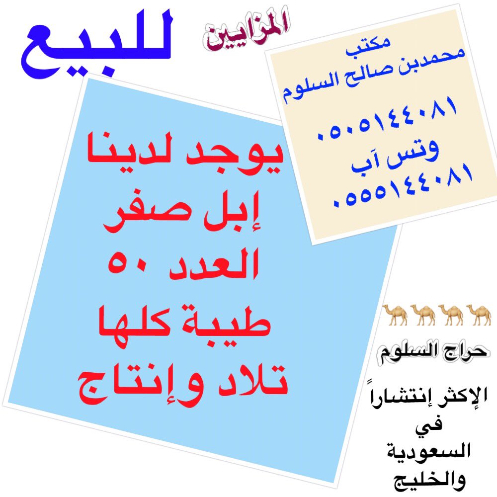 mhes1841's tweet photo. #حراج_السلوم #الابل #للبيع فرصة طيبة جداً #السعودية #الرياض #بريدة #الكويت #حفرالباطن #الاحساء #تبوك #المجمعة #الخرج https://t.co/zRiRaMQTKP