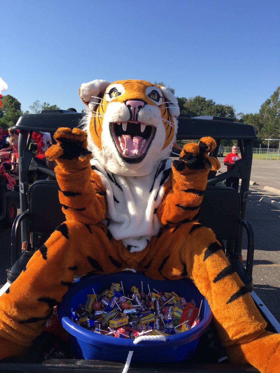 Tigerjimshs1's tweet photo. Homecoming 2016 was one for the books! I hope everyone had a TIGERIFIC week and more to come!
#hoco2016 #tigerific #mascot https://t.co/jZqhKyz8X6